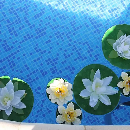 семеен идън Otel